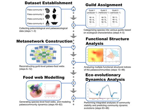 科學研究，技術先行——我校研究團隊創(chuàng)新研發(fā)生態(tài)模擬方法體系