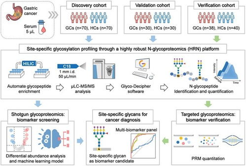 大連化物所成功開發(fā)高精度蛋白質組分析系統，初步臨床結果亮眼