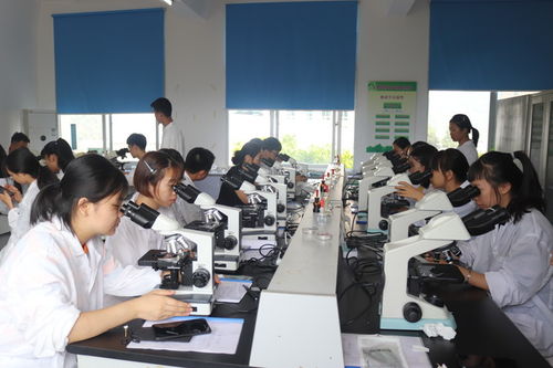 生物技術專業(yè)簡介 前沿研究與創(chuàng)新開發(fā)