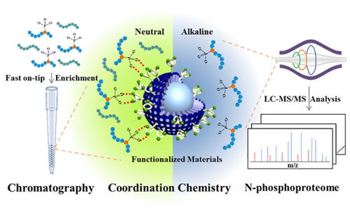 大連化物所開發(fā)n磷酸化蛋白質組深度覆蓋分析新方法