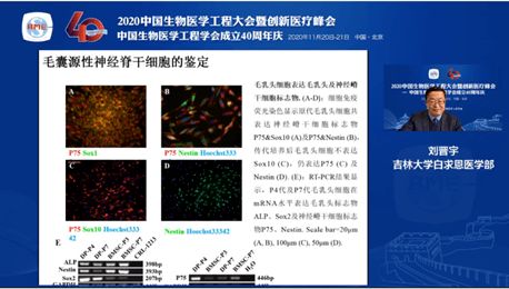 2020中國(guó)生物醫(yī)學(xué)工程大會(huì)暨創(chuàng)新醫(yī)療峰會(huì) 干細(xì)胞工程技術(shù)分會(huì)論壇——生物技術(shù)研究與開發(fā)